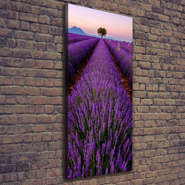 Quadro su tela canvas verticale Campo di lavanda