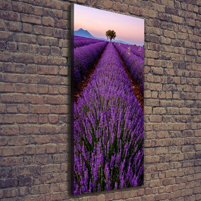 Quadro su tela canvas verticale Campo di lavanda