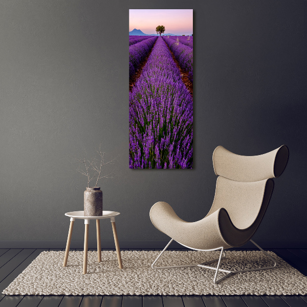 Quadro su tela canvas verticale Campo di lavanda