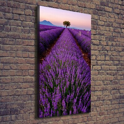 Quadro su tela canvas verticale Campo di lavanda