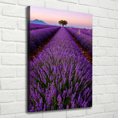Quadro su tela canvas verticale Campo di lavanda