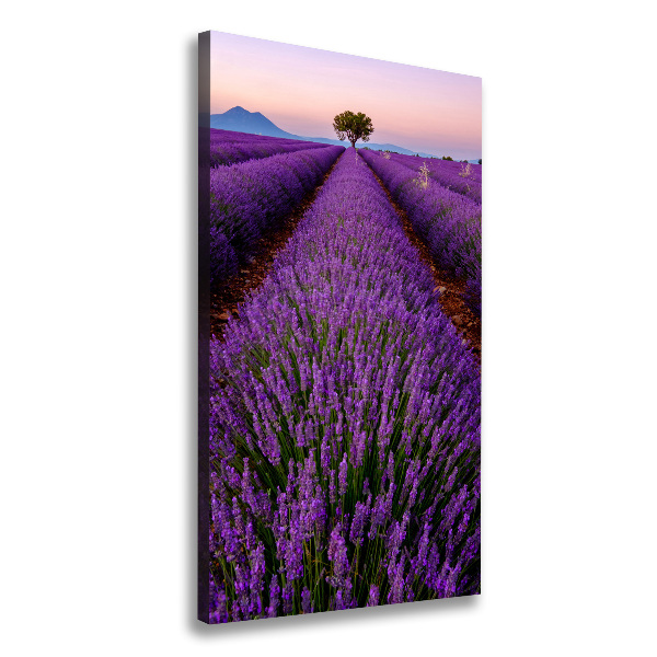 Quadro su tela canvas verticale Campo di lavanda