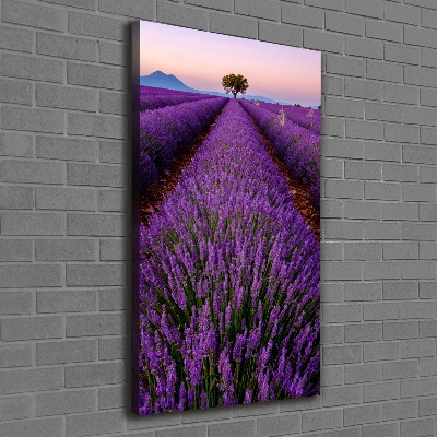 Quadro su tela canvas verticale Campo di lavanda