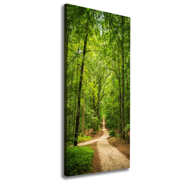 Quadro foto su tela verticale Sentiero nella foresta