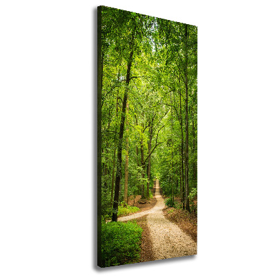 Quadro foto su tela verticale Sentiero nella foresta