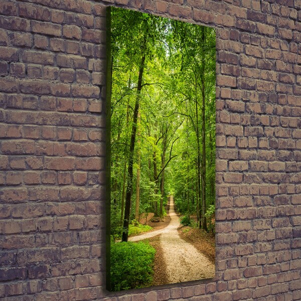 Quadro foto su tela verticale Sentiero nella foresta
