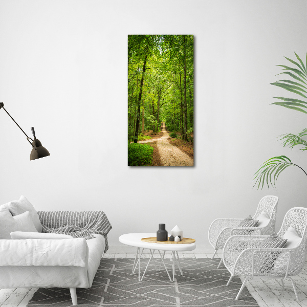 Quadro foto su tela verticale Sentiero nella foresta