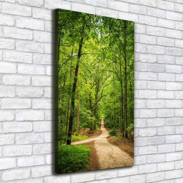 Quadro foto su tela verticale Sentiero nella foresta