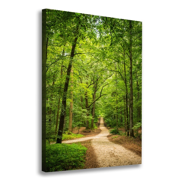 Quadro foto su tela verticale Sentiero nella foresta
