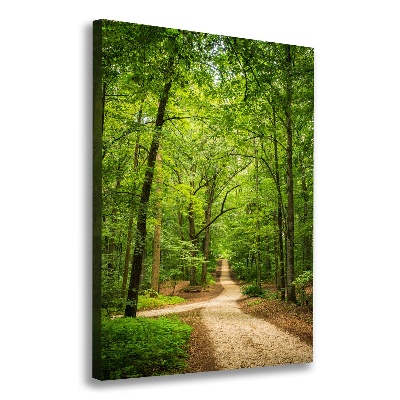 Quadro foto su tela verticale Sentiero nella foresta