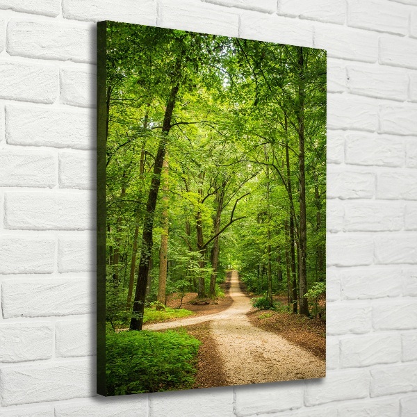 Quadro foto su tela verticale Sentiero nella foresta