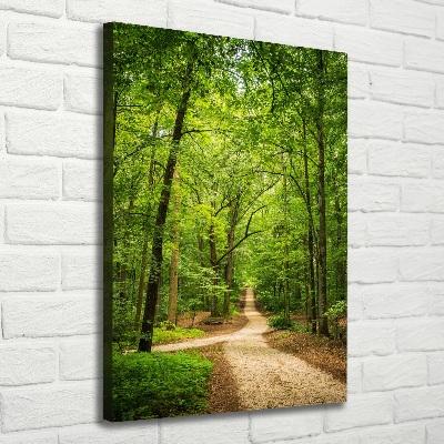 Quadro foto su tela verticale Sentiero nella foresta