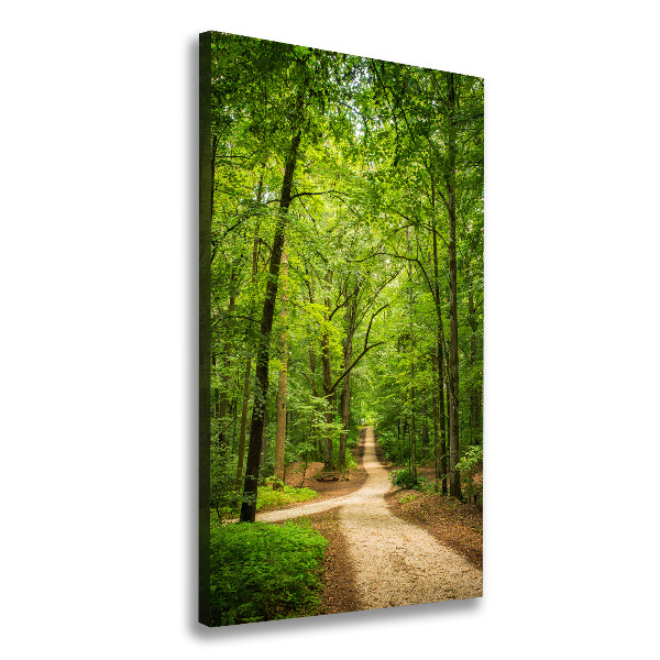 Quadro foto su tela verticale Sentiero nella foresta