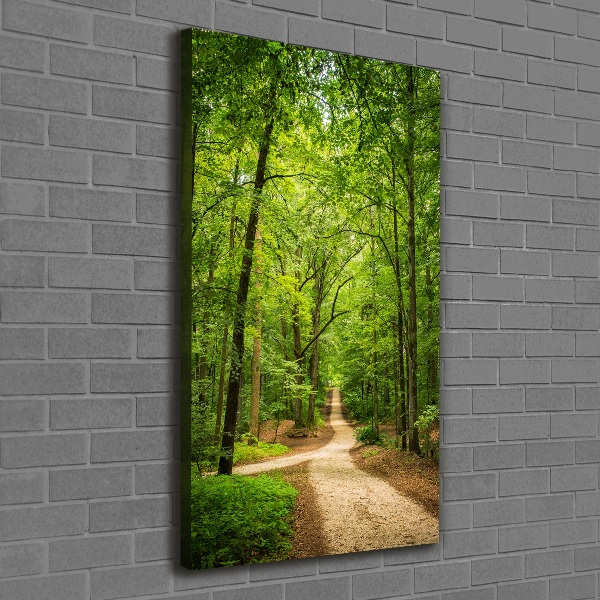 Quadro foto su tela verticale Sentiero nella foresta