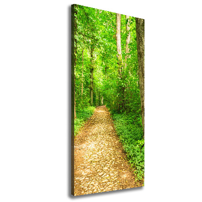 Quadro su tela canvas verticale Sentiero nella foresta
