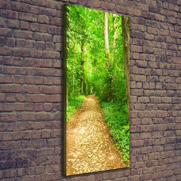Quadro su tela canvas verticale Sentiero nella foresta
