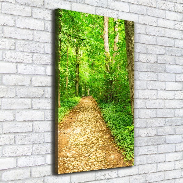 Quadro su tela canvas verticale Sentiero nella foresta