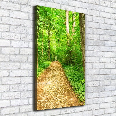 Quadro su tela canvas verticale Sentiero nella foresta