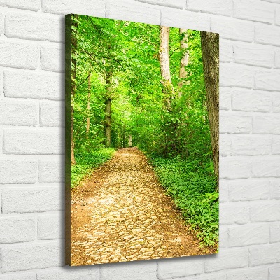 Quadro su tela canvas verticale Sentiero nella foresta