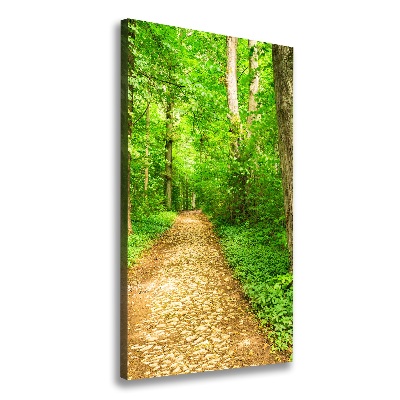 Quadro su tela canvas verticale Sentiero nella foresta