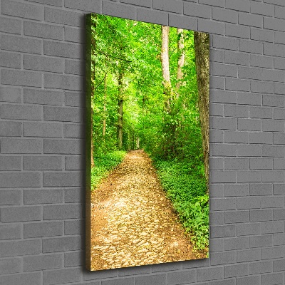 Quadro su tela canvas verticale Sentiero nella foresta