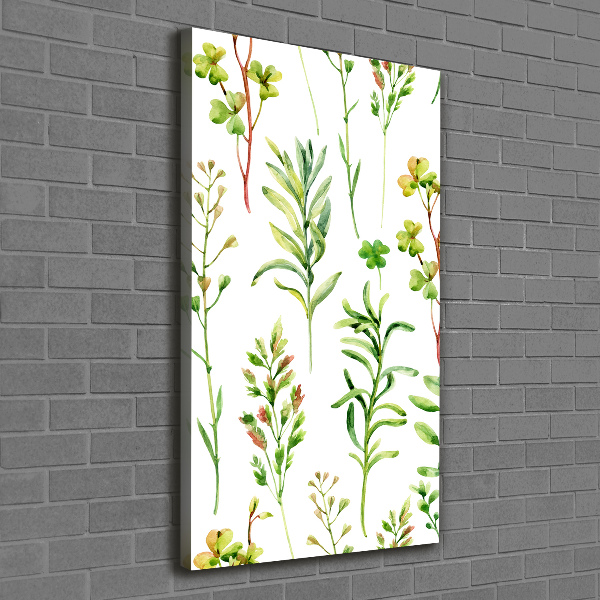 Quadro su tela canvas verticale Erbacce ed erbe aromatiche