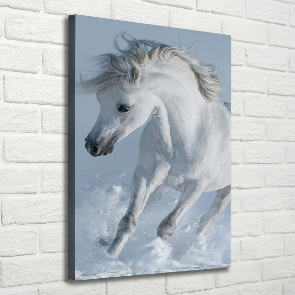 Quadro foto su tela verticale Un cavallo bianco al galoppo