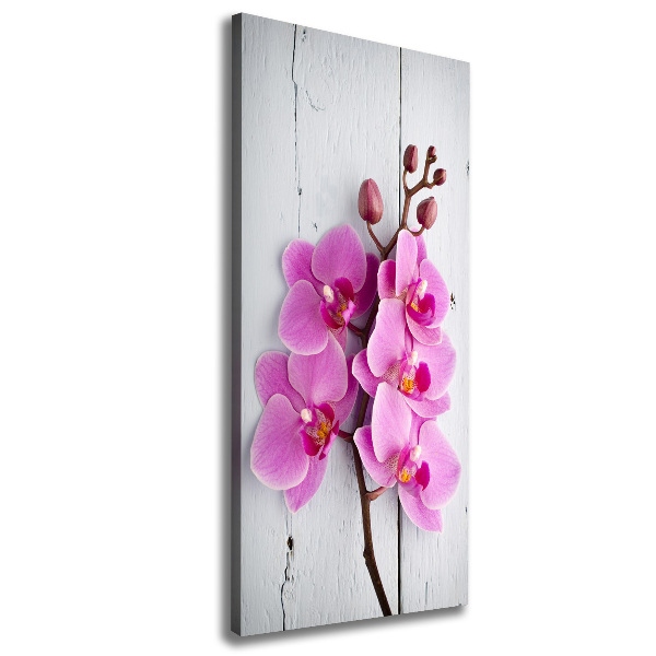 Quadro foto su tela verticale Orchidea rosa