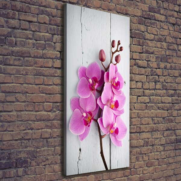 Quadro foto su tela verticale Orchidea rosa