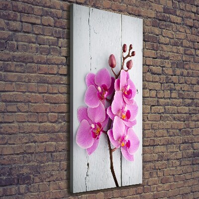 Quadro foto su tela verticale Orchidea rosa