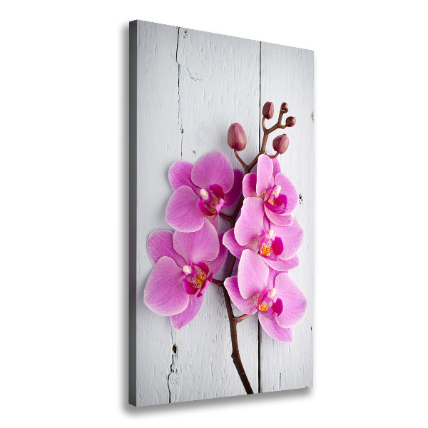 Quadro foto su tela verticale Orchidea rosa