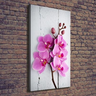Quadro foto su tela verticale Orchidea rosa
