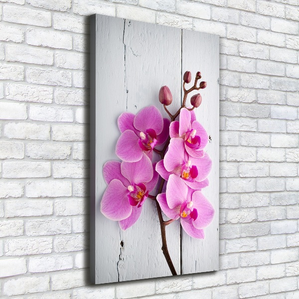 Quadro foto su tela verticale Orchidea rosa