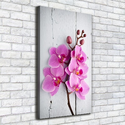 Quadro foto su tela verticale Orchidea rosa