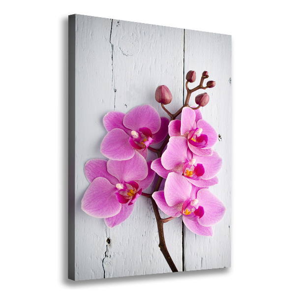 Quadro foto su tela verticale Orchidea rosa