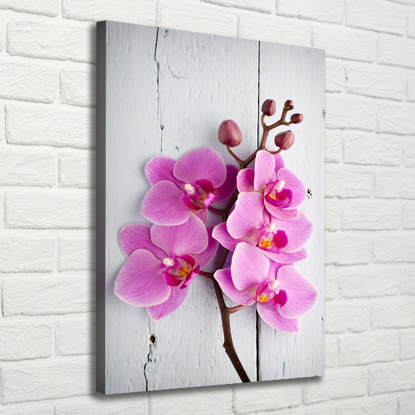 Quadro foto su tela verticale Orchidea rosa