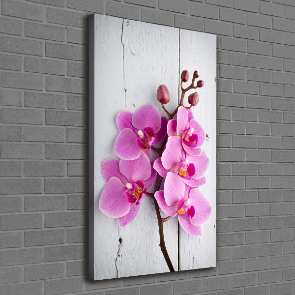 Quadro foto su tela verticale Orchidea rosa
