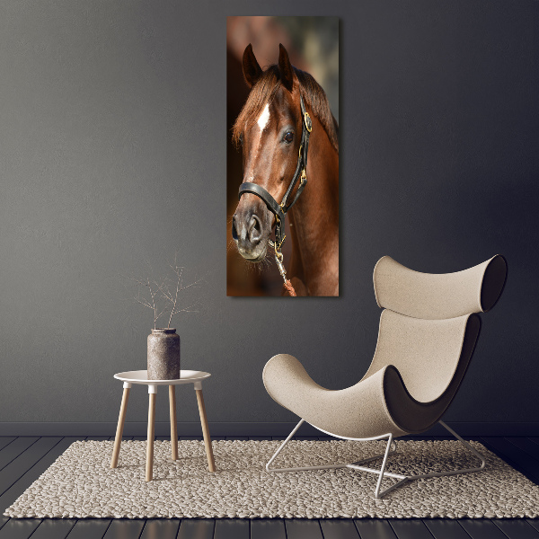 Quadro su tela canvas verticale Ritratto di un cavallo
