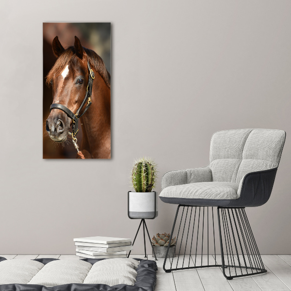 Quadro su tela canvas verticale Ritratto di un cavallo
