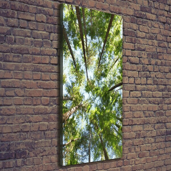 Quadro foto su tela verticale Chioma dell'albero