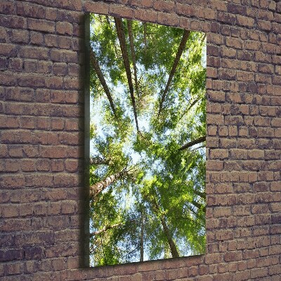 Quadro foto su tela verticale Chioma dell'albero