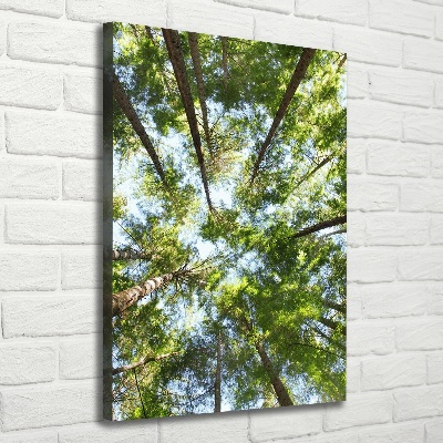 Quadro foto su tela verticale Chioma dell'albero