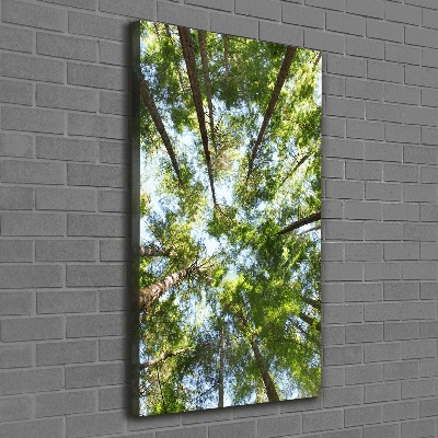 Quadro foto su tela verticale Chioma dell'albero