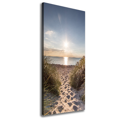Quadro su tela canvas verticale Dune costiere