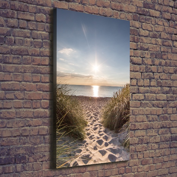 Quadro su tela canvas verticale Dune costiere