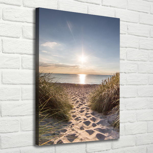 Quadro su tela canvas verticale Dune costiere
