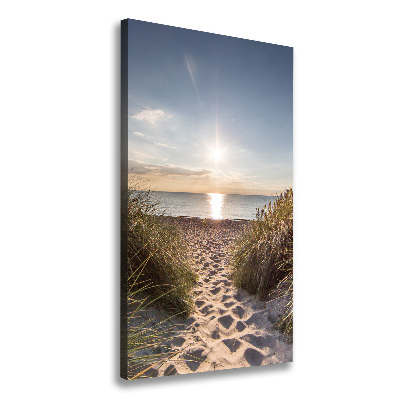 Quadro su tela canvas verticale Dune costiere