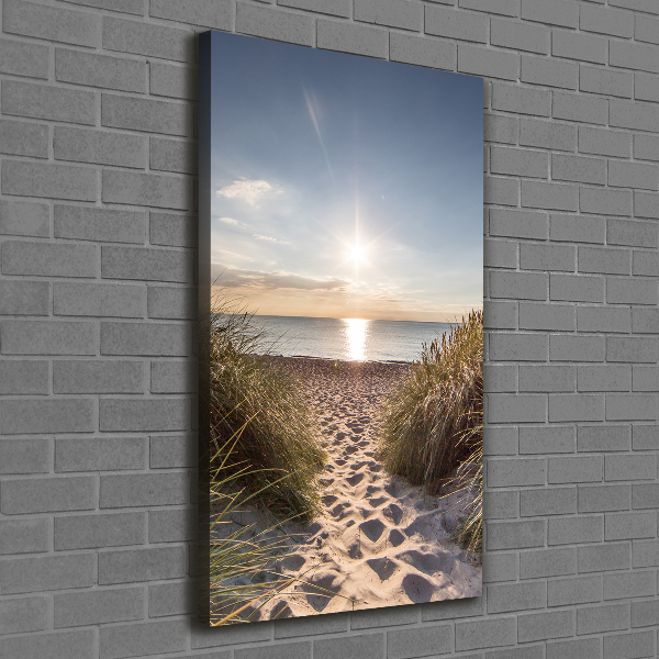 Quadro su tela canvas verticale Dune costiere