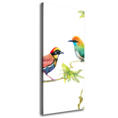 Quadro foto su tela verticale Uccelli