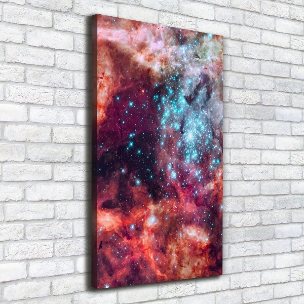 Quadro foto su tela verticale Nube di Magellano